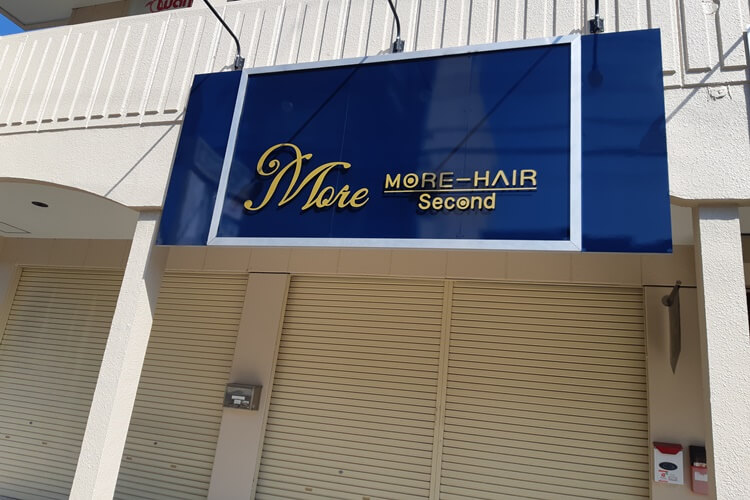 MORE-HAIR second