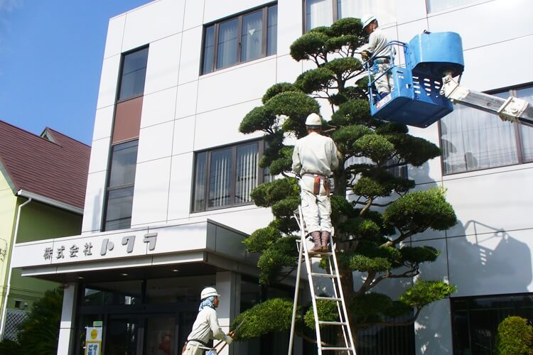 縁の下の力持ち！造園・緑地管理・清掃のことなら荒井町にある株式会社 