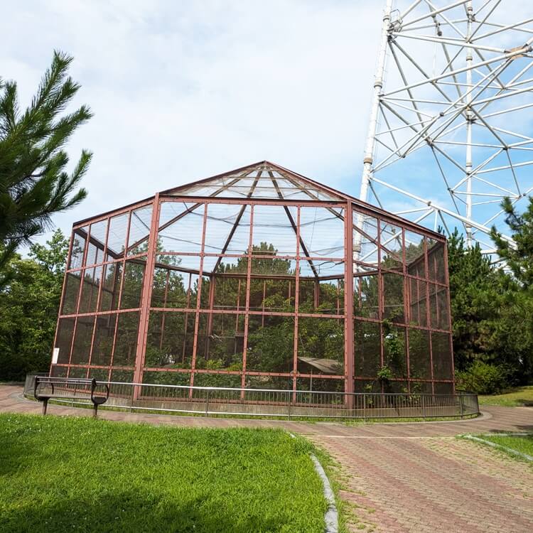 向島公園ど根性ひまわりゲージ