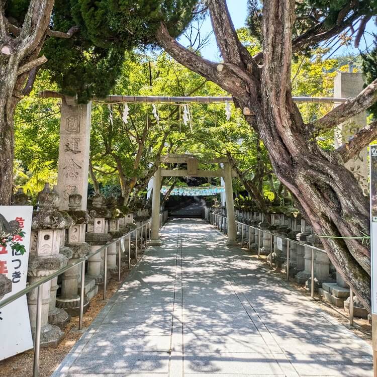 鹿嶋神社紅葉のトンネル