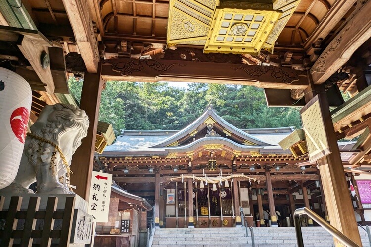 鹿嶋神社階段からの本殿