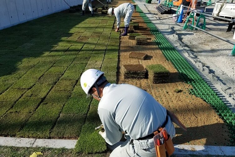 株式会社トクラ造園②