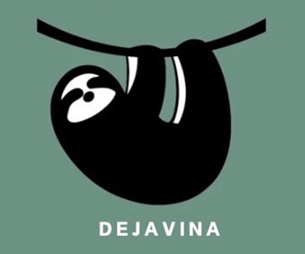 DEJAVINA600×500