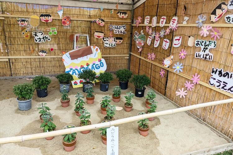 第57回菊花展覧会みどり丘保育園