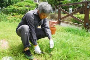 本気の草刈り高齢者