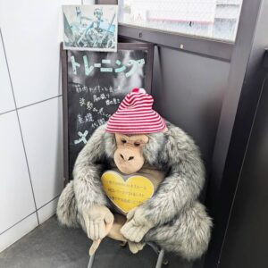 HCSゴリゴリ君