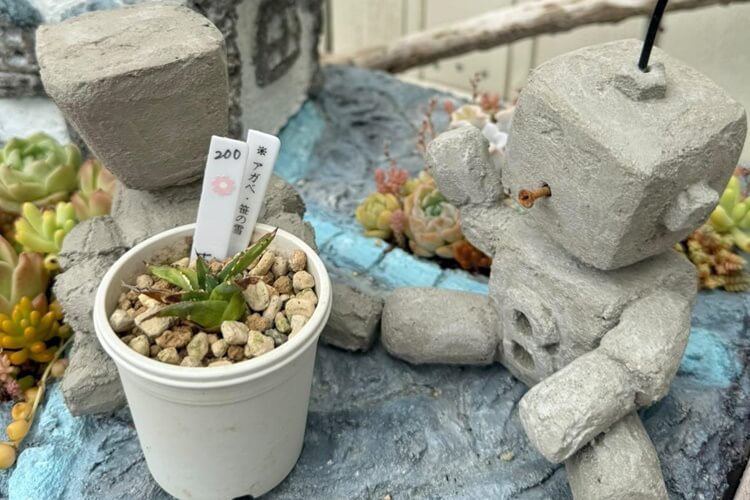 BOON子供向けワークショップヘッダー