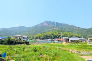 農菓みきやテラス席からの眺め