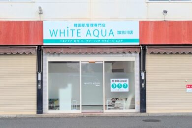 ホワイトアクアヘッダー