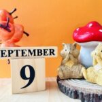 人気記事ランキング2025年9月