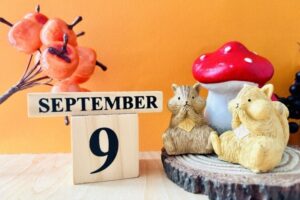 人気記事ランキング2025年9月