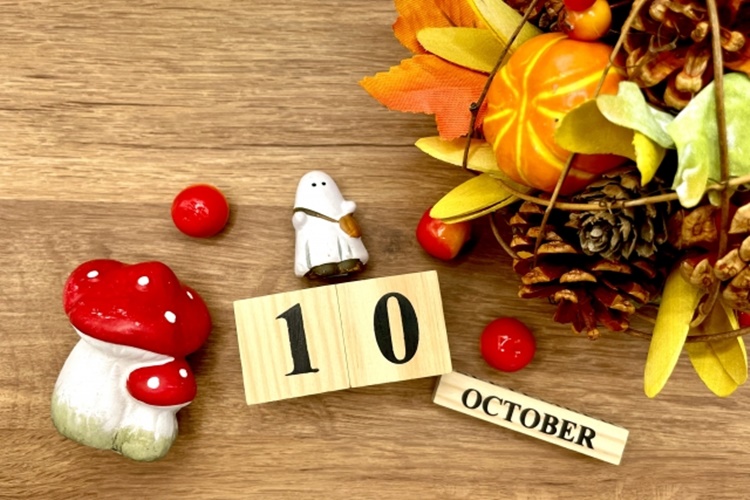 運営日記2025年10月