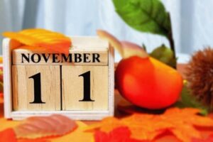 運営日記2025年11月