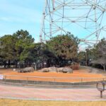 向島公園大型ケージヘッダー