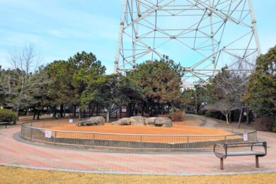 向島公園大型ケージヘッダー