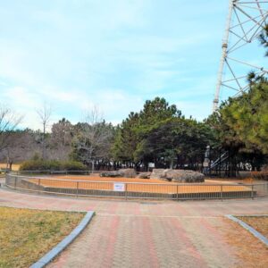 向島公園大型ケージ撤去