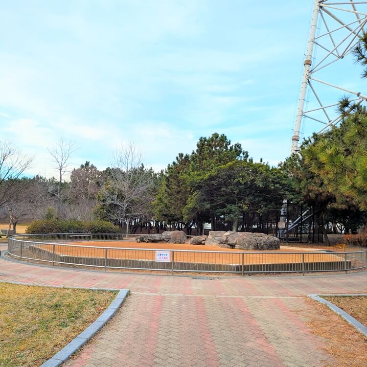 向島公園大型ケージ撤去
