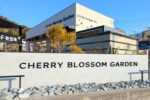チェリーブロッサムガーデンヘッダー
