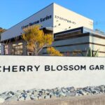 チェリーブロッサムガーデンヘッダー