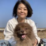 SUNSHINE DOG DAYS ヘッダー