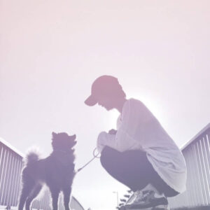 SUNSHINE DOG DAYS 犬の気持ち