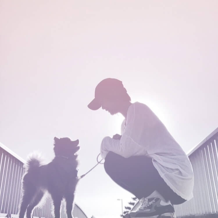 SUNSHINE DOG DAYS 犬の気持ち