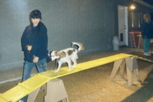 SUNSHINE DOG DAYSアメリカ留学