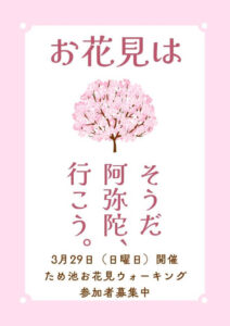 ため池お花見ウォーキングキャッチ