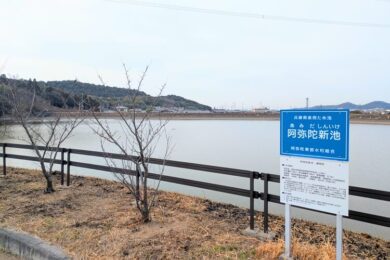 ため池お花見ウォーキングヘッダー