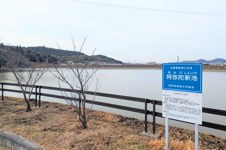 ため池お花見ウォーキングヘッダー