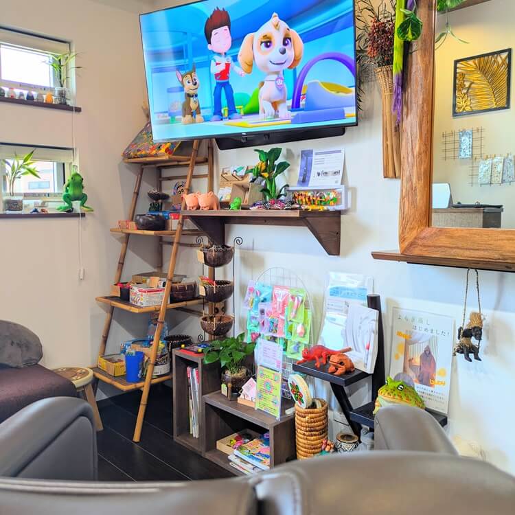 BRtHeテレビモニター