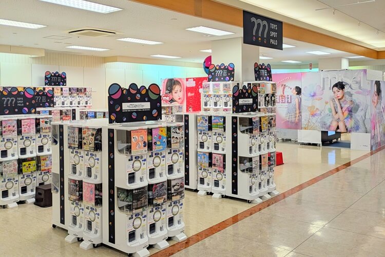 TOYSSPOTPALOヘッダー